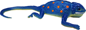 Морская игуана
