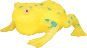 Стеклянная лягушка