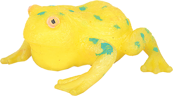 Стеклянная лягушка