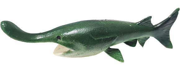 Веслонос