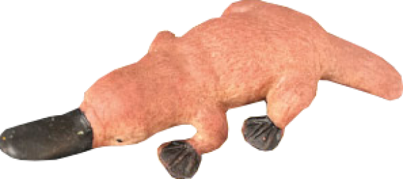 Утконос