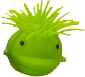 Кит