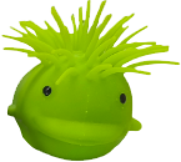 Кит