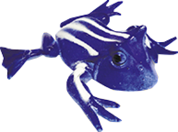 Рогатая лягушка
