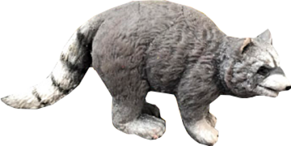 Енот