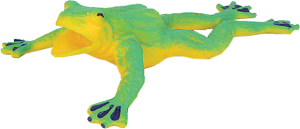 Лягушка голиафа